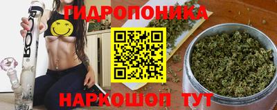 индика Комсомольск-на-Амуре